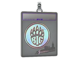 Sticker Slab | BIG (Holo) | Stockholm 2021
