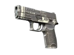 StatTrak™ P250 | Re.built (Factory New)