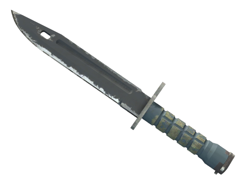 ★ StatTrak™ Bayonet | Night (Well-Worn)