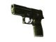 P250 | Iron Clad (Field-Tested)