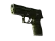 P250 | Iron Clad CS2 skin