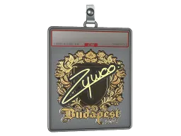 Sticker Slab | ZywOo (Gold) | Budapest 2025