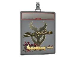 Sticker Slab | Ex3rcice (Gold) | Shanghai 2024