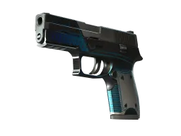 P250 | Valence (Well-Worn)