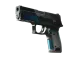 P250 | Valence CS2 skin
