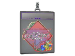 Sticker Slab | karrigan (Glitter) | Rio 2022