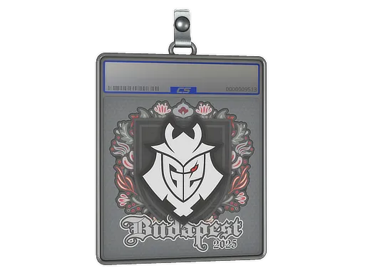 Sticker Slab | G2 esports | Budapest 2025