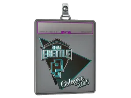 Sticker Slab | Team eBettle (Foil) | Cologne 2015