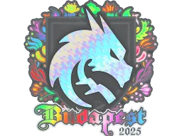 Sticker | Team Spirit (Holo) | Budapest 2025