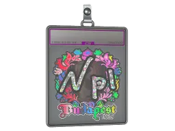 Sticker Slab | npl (Holo) | Budapest 2025