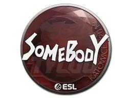 Sticker | somebody | Katowice 2019 CS2 skin