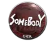 Sticker | somebody | Katowice 2019 CS2 skin