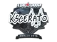 Sticker | KSCERATO | Berlin 2019 CS2 skin