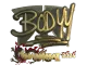 Sticker | bodyy (Gold) | Shanghai 2024 CS2 skin