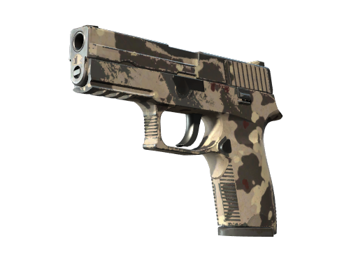 Souvenir P250 | Black & Tan (Well-Worn)