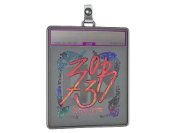 Sticker Slab | zorte (Holo) | Austin 2025