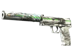 USP-S | Road Rash (Minimal Wear)