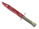 ★ Bayonet | Slaughter CS2 skin