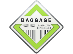 Baggage Pin