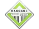 Baggage Pin CS2 skin