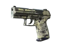 P2000 | Granite Marbleized (Battle-Scarred)
