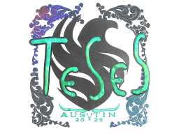 Sticker | TeSeS (Holo) | Austin 2025