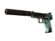 USP-S | PC-GRN CS2 skin