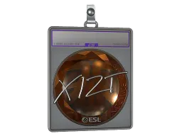Sticker Slab | Xizt (Foil) | Katowice 2019