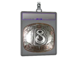Sticker Slab | B8 (Foil) | Austin 2025