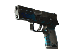 P250 | Valence (Battle-Scarred)