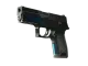 P250 | Valence CS2 skin