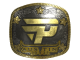 Sticker | paiN Gaming (Gold) | Austin 2025