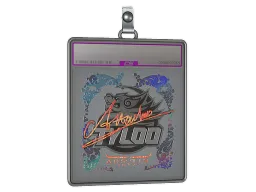Sticker Slab | Attacker (Holo) | Austin 2025