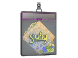 Sticker Slab | siuhy (Holo) | Rio 2022
