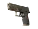 P250 | Bullfrog CS2 skin