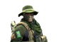 Primeiro Tenente | Brazilian 1st Battalion skin