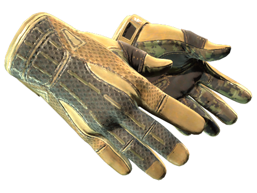 ★ Sport Gloves | Arid (Minimal Wear)