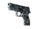 P250 | Steel Disruption (Minimal Wear)