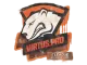 Sealed Graffiti | Virtus.Pro | Atlanta 2017 CS2 skin