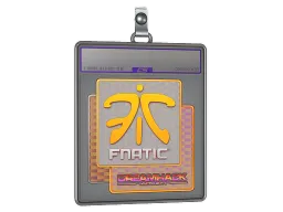 Sticker Slab | Fnatic (Holo) | DreamHack 2014