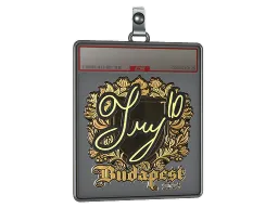 Sticker Slab | TRY (Gold) | Budapest 2025