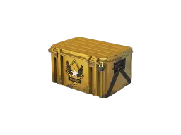 Winter Offensive Weapon Case