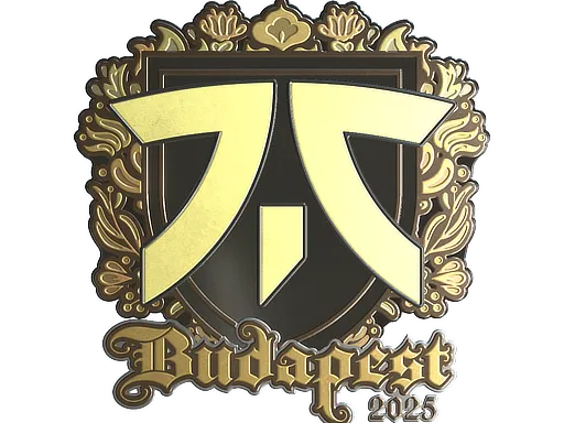 Sticker | fnatic (Gold) | Budapest 2025