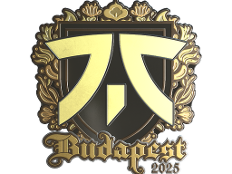 Sticker | fnatic (Gold) | Budapest 2025