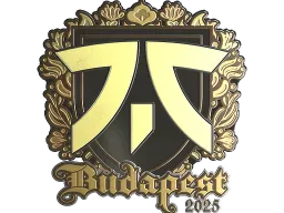 Sticker | fnatic (Gold) | Budapest 2025