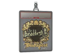 Sticker Slab | headtr1ck (Gold) | Budapest 2025