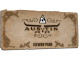 Austin 2025 Viewer Pass