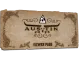 Austin 2025 Viewer Pass CS2 skin