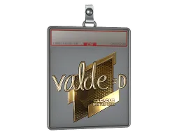 Sticker Slab | v4lde (Gold) | Boston 2018