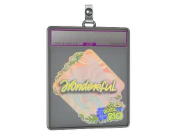 Sticker Slab | w0nderful (Holo) | Rio 2022